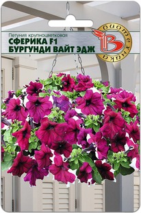 ������� ��������������� ������� F1 �������� ���� ���