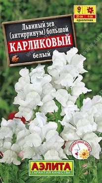 ���������� ����� ������� ��� 20��