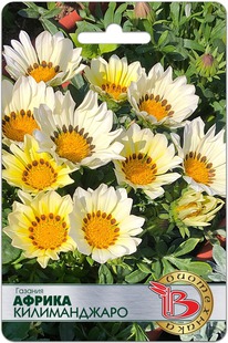 ������� ������ ������������