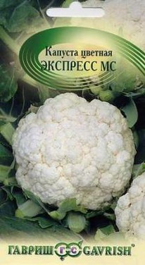 �������� �� ������� �������