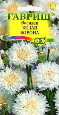 ����� ������ �������