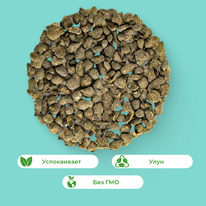 ��� ���� ��������