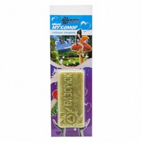 ���� �������-������������� ������������ 