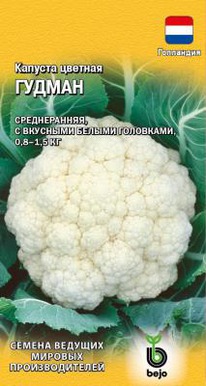 ������ F1 ������� �������