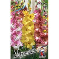 ��������� ����� 