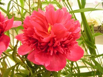 ���� ���� ����� �������, 2/3n