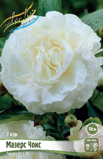 ���� ������ ���� 2/3 n