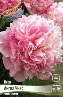 ���� ����� ���� 2/3 n