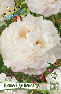 ���� ������ �� ��������