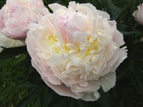 ���� ���� ���� 2/3n