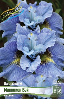 ���� ��������� ������� ���