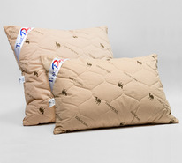 ������� ��������� ������ / ���