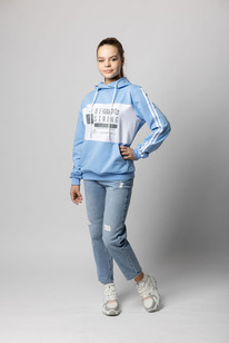 ���� �-1101: �������