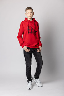 ���� ������� �-1104: �������