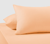 ��������� ����������� ���� 120 �/�2 ����������