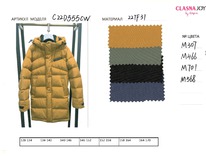 C22D555CW-M466 (�����)