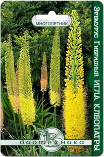 �������� ��������� ���� ���������