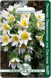 �������� ������������ ��� ���-����� ����