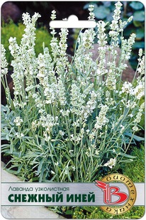 ������� ����������� ������� ����