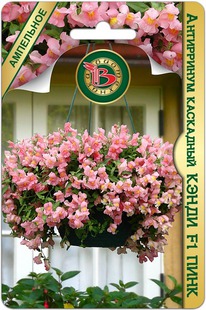 ���������� ��������� ����� F1 ����