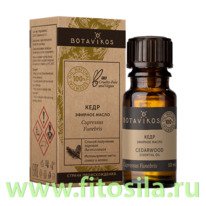 ���� 100% ������� ����� 10 ��, 