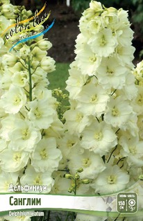 ���������� �������