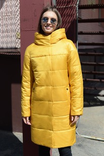 ���������� ����