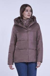 ������ ����