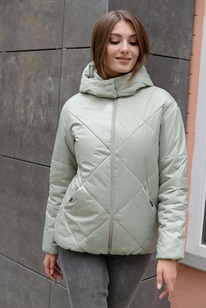 ������ ����