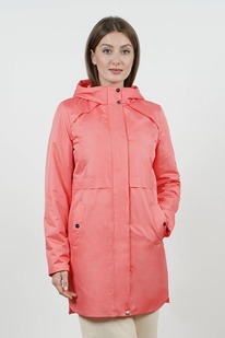 ���� ������� ����������