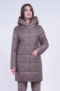 ���������� ����