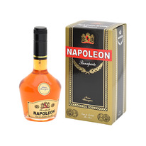   Napoleon Bonaparte, 93