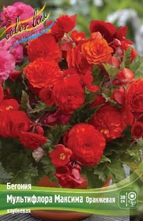 ������� ����������� ������� ���������, 4/5