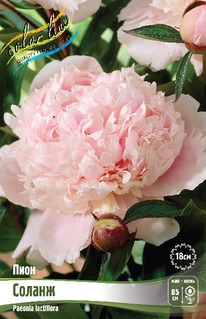 ���� ������, 2/3n