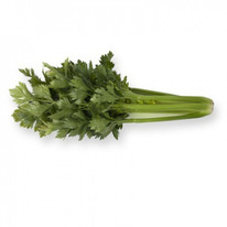 ������ ��������� ����������� ����� 20�� Rijk Zwaan