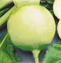 ������ ������ ����� : 3�� Gavrish