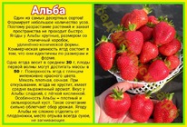 ��������� �����