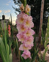 ��������� ������