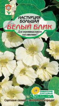 ����� ���� ��������� ���������