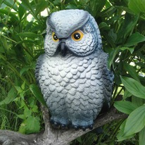 ������ ��� ���� ���� ����� 42��