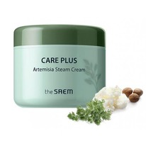            THE SAEM Care Plus Arte