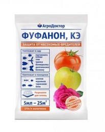 ������� 5 ��