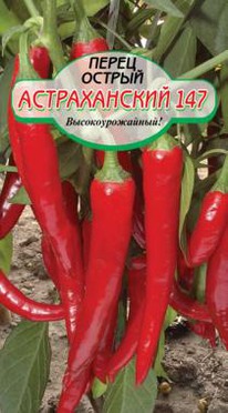 ������������ ������ �����