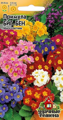 ���-��� �������