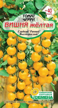 ����� ������ �����