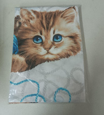 ������� ������������ ������� �� ���� 1.5�� � ������������