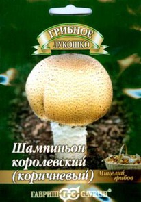 ��������� ����������� ������. �� ����.��������� 15��