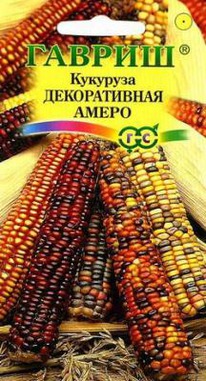 �������� ����� ������������