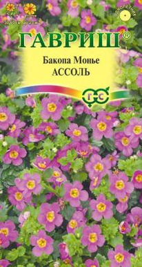 ������ ������ (������) 3 ��