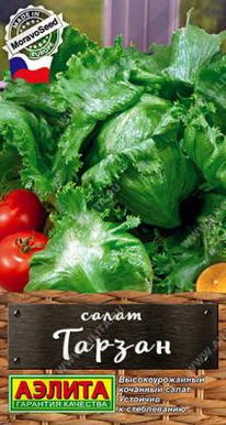 ������ ����� ��������